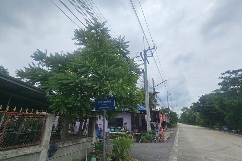 โครงการ รุ่งเรือง ธัญบุรีคลอง9, ปทุมธานี, บึงบา, หนองเสือ, ปทุมธานี, 864 ตร.ม., ที่ดิน ขาย, โดย ชนะชาติ นนท์ตา, 500632249 - DDproperty.com