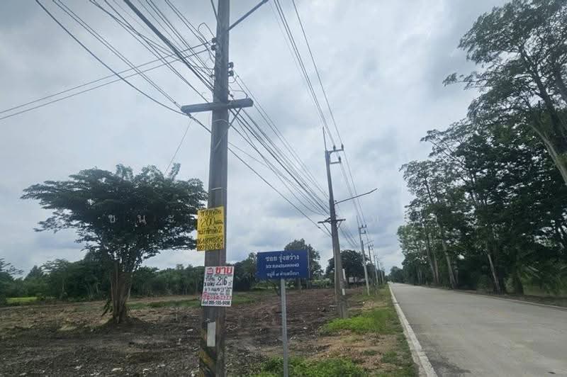 โครงการ รุ่งเรือง ธัญบุรีคลอง9, ปทุมธานี, บึงบา, หนองเสือ, ปทุมธานี, 864 ตร.ม., ที่ดิน ขาย, โดย ชนะชาติ นนท์ตา, 500632249 - DDproperty.com