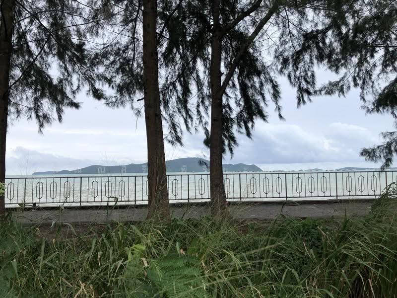 ที่ดินเปล่าริมทะเล, Phuket, ตันทวีวงศ์, Chalong, Muang Phuket, Phuket, , 5,948 sqm, Land For Sale, by พิณณ์ศิริ พิริยะพรกิจ, 500632303 - DDproperty.com