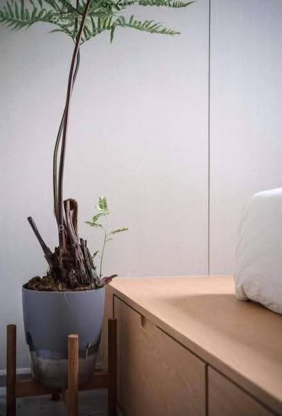 The Line Sukhumvit 101, Bangkok, 3009 Sukhumvit 101 Road, Bang Chak, Phra Khanong, Bangkok, 1 Bedroom, 28 sqm, Condo For Rent, by BR Property Thailand, 500632420 - DDproperty.com