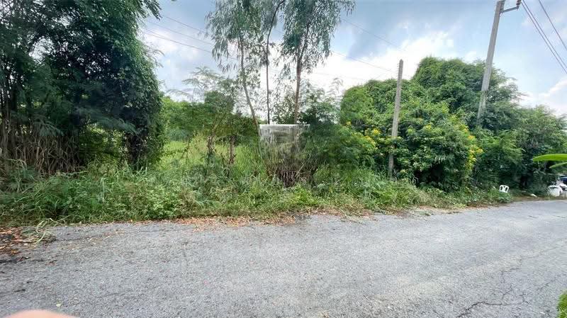 ที่ดินเปล่า 200 ตร.ว. หมู่บ้านเคหะการเกษตร 2 ซอย 38, นนทบุรี, ถนนหมายเลข5027, หนองเพรางาย, ไทรน้อย, นนทบุรี, 800 ตร.ม., ที่ดิน ขาย, โดย คุณ พัชรนันท์ พรมพิทักษ์ (นัจข์), 500632914 - DDproperty.com