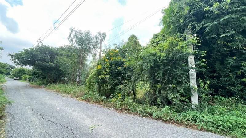 ที่ดินเปล่า 200 ตร.ว. หมู่บ้านเคหะการเกษตร 2 ซอย 38, Nonthaburi, ถนนหมายเลข5027, Nong Prao Ngai, Sai Noi, Nonthaburi, , 800 sqm, Land For Sale, by คุณ พัชรนันท์ พรมพิทักษ์ (นัจข์), 500632914 - DDproperty.com