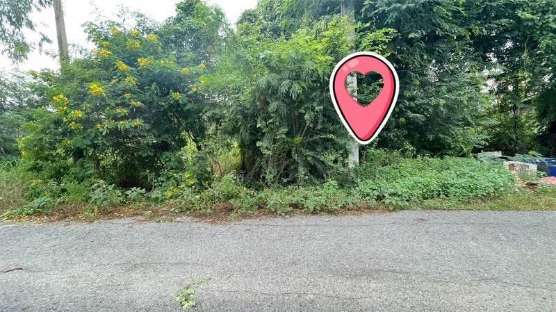 ที่ดินเปล่า 200 ตร.ว. หมู่บ้านเคหะการเกษตร 2 ซอย 38, Nonthaburi, ถนนหมายเลข5027, Nong Prao Ngai, Sai Noi, Nonthaburi, , 800 sqm, Land For Sale, by คุณ พัชรนันท์ พรมพิทักษ์ (นัจข์), 500632914 - DDproperty.com