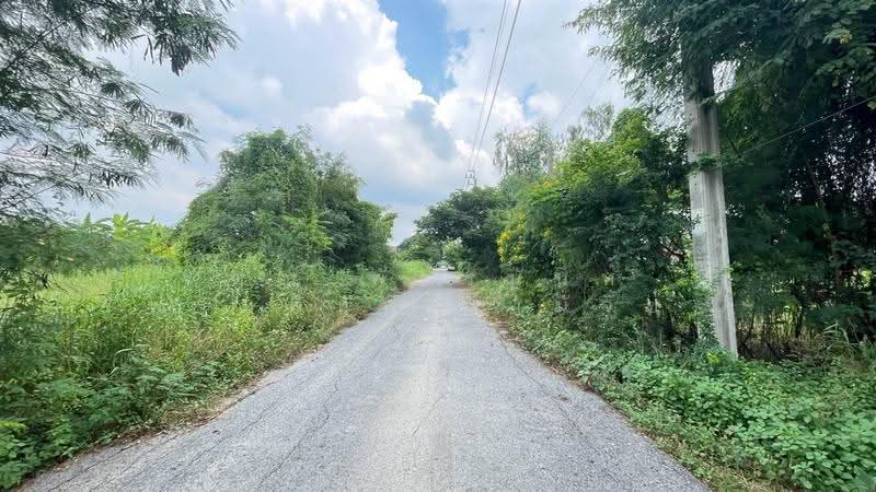 ที่ดินเปล่า 200 ตร.ว. หมู่บ้านเคหะการเกษตร 2 ซอย 38, นนทบุรี, ถนนหมายเลข5027, หนองเพรางาย, ไทรน้อย, นนทบุรี, 800 ตร.ม., ที่ดิน ขาย, โดย คุณ พัชรนันท์ พรมพิทักษ์ (นัจข์), 500632914 - DDproperty.com