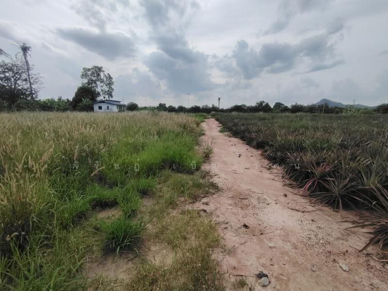 4-0-0 Rai | Home Development Land In a Fast Developing Residential Area!, Prachuap Khiri Khan, Wang-Pong, Pran Buri, Prachuap Khiri Khan, , 6,400 sqm, Land For Sale, by จิรัชฎ์ เบ็ญจรัตน์, 500632992 - DDproperty.com