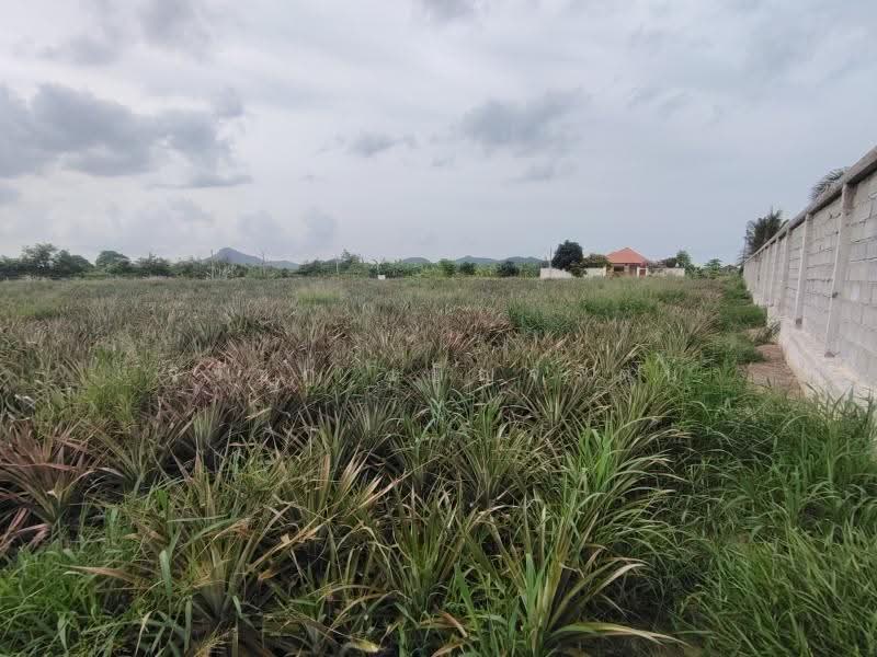 4-0-0 Rai | Home Development Land In a Fast Developing Residential Area!, Prachuap Khiri Khan, Wang-Pong, Pran Buri, Prachuap Khiri Khan, , 6,400 sqm, Land For Sale, by จิรัชฎ์ เบ็ญจรัตน์, 500632992 - DDproperty.com