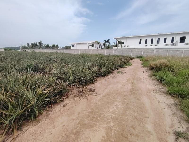 4-0-0 Rai | Home Development Land In a Fast Developing Residential Area!, Prachuap Khiri Khan, Wang-Pong, Pran Buri, Prachuap Khiri Khan, , 6,400 sqm, Land For Sale, by จิรัชฎ์ เบ็ญจรัตน์, 500632992 - DDproperty.com