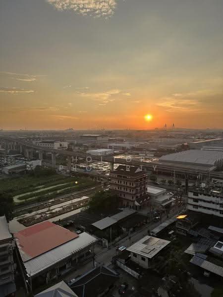 Supalai Veranda Sukhumvit 117, Samut Prakan, Sukhumvit 117, Bang Muang Mai, Muang Samut Prakarn, Samut Prakan, 1 Bedroom, 29 sqm, Condo For Rent, by Holtop Property, 500633197 - DDproperty.com