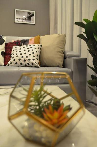 The Line Sukhumvit 101, Bangkok, 3009 Sukhumvit 101 Road, Bang Chak, Phra Khanong, Bangkok, 1 Bedroom, 33 sqm, Condo For Rent, by Rinrada Permpool, 500633219 - DDproperty.com