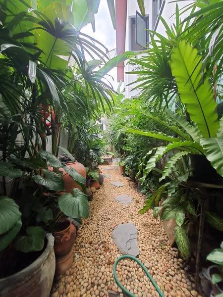 Phatthanachit, Nonthaburi, ติวานนท์, Tha-Sai, Muang Nonthaburi, Nonthaburi, 3 Bedrooms, 150 sqm, Single Detached House For Sale, by คุณเก้า, 500633372 - DDproperty.com