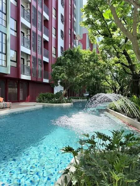 The Base Bukit Phuket, Phuket, 12 Vichitsongkram Rd, Wichit, Muang Phuket, Phuket, 1 Bedroom, 31 sqm, Condo For Rent, by Suphanan Saengsak, 500633447 - DDproperty.com