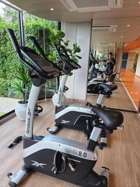The Base Bukit Phuket, Phuket, 12 Vichitsongkram Rd, Wichit, Muang Phuket, Phuket, 1 Bedroom, 31 sqm, Condo For Rent, by Suphanan Saengsak, 500633447 - DDproperty.com