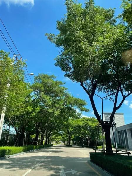 Verve Rama 9, Bangkok, Kanchanaphisek Road, Saphan Sung, Bangkok, 2 Bedrooms, 117 sqm, Townhouse For Rent, by Nattayaporn Peumkul (Benz), 500633458 - DDproperty.com