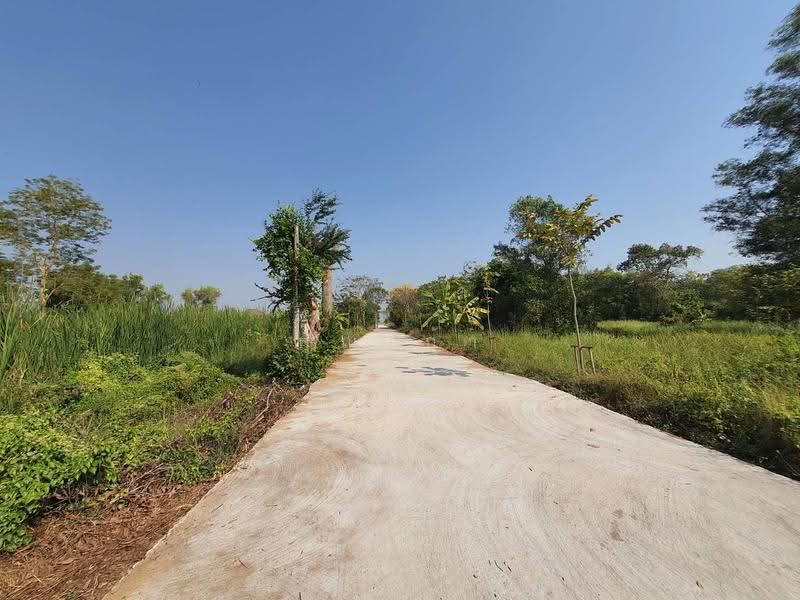 ที่ดินเปล่า ถนนประชาสำราญ 1 หนองจอก กรุงเทพมหานคร, กรุงเทพ, ประชาสำราญ 1, คลองสิบสอง, หนองจอก, กรุงเทพ, 6,088 ตร.ม., ที่ดิน ขาย, โดย คุณเก้า, 500633501 - DDproperty.com