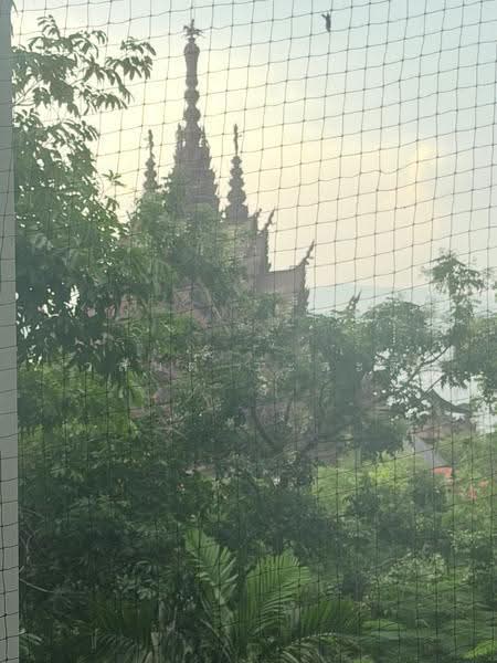The Sanctuary Wongamat : เดอะ แซงชัวรี วงศ์อมาตย์, ชลบุรี, ซอยพัทยา-นาเกลือ 12, นาเกลือ, บางละมุง, ชลบุรี, 152 ตร.ม., คอนโด ขาย, โดย วสันต์ วะสะติ, 500633545 - DDproperty.com