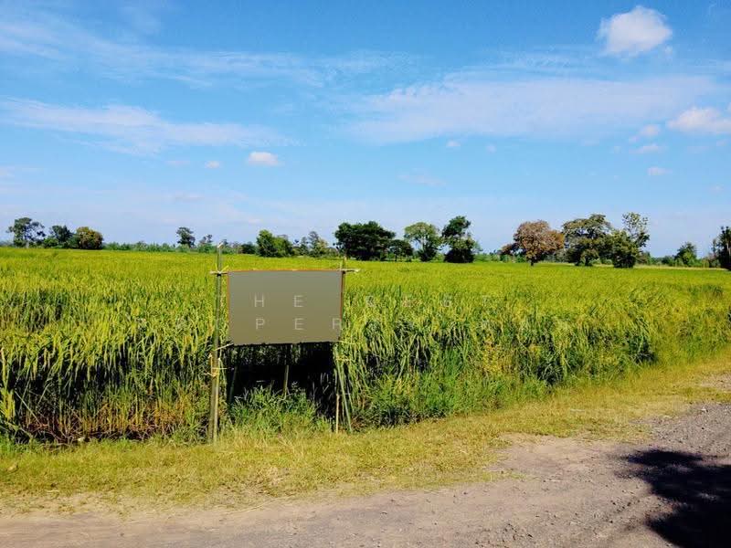 ที่ดินศีขรภูมิ สุรินทร์, Surin, Nong Lek, Si Khonlaphum, Surin, , 21,288 sqm, Land For Sale, by The Best Property ต้อม, 500633660 - DDproperty.com