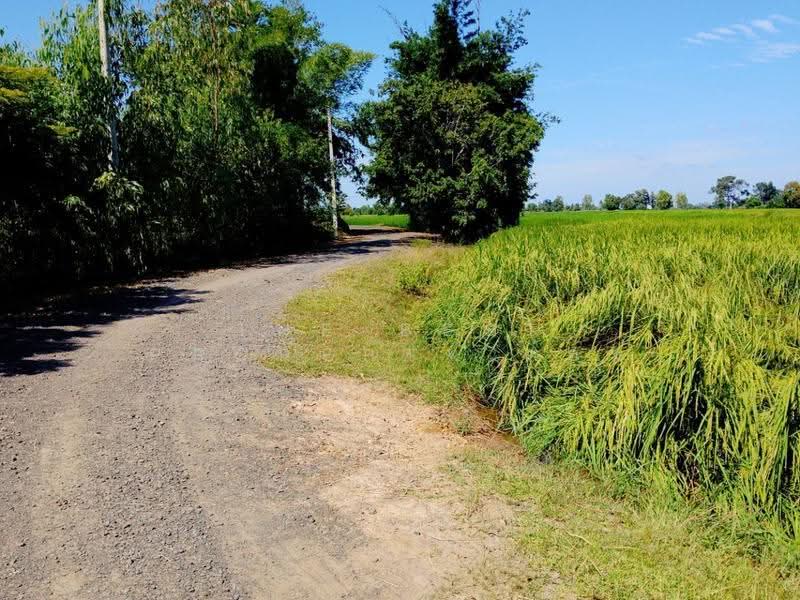 ที่ดินศีขรภูมิ สุรินทร์, Surin, Nong Lek, Si Khonlaphum, Surin, , 21,288 sqm, Land For Sale, by The Best Property ต้อม, 500633660 - DDproperty.com