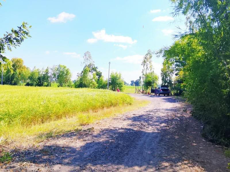 ที่ดินศีขรภูมิ สุรินทร์, Surin, Nong Lek, Si Khonlaphum, Surin, , 21,288 sqm, Land For Sale, by The Best Property ต้อม, 500633660 - DDproperty.com