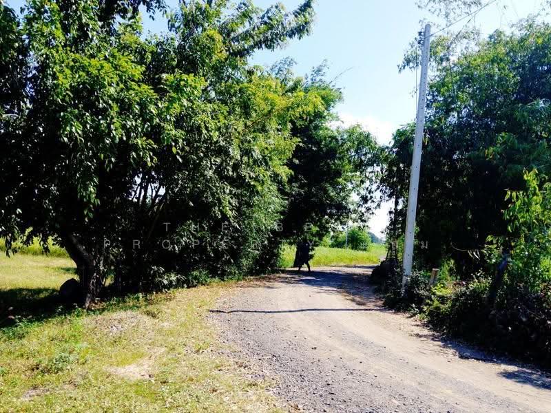 ที่ดินศีขรภูมิ สุรินทร์, สุรินทร์, หนองเหล็ก, ศีขรภูมิ, สุรินทร์, 21,288 ตร.ม., ที่ดิน ขาย, โดย The Best Property ต้อม, 500633660 - DDproperty.com