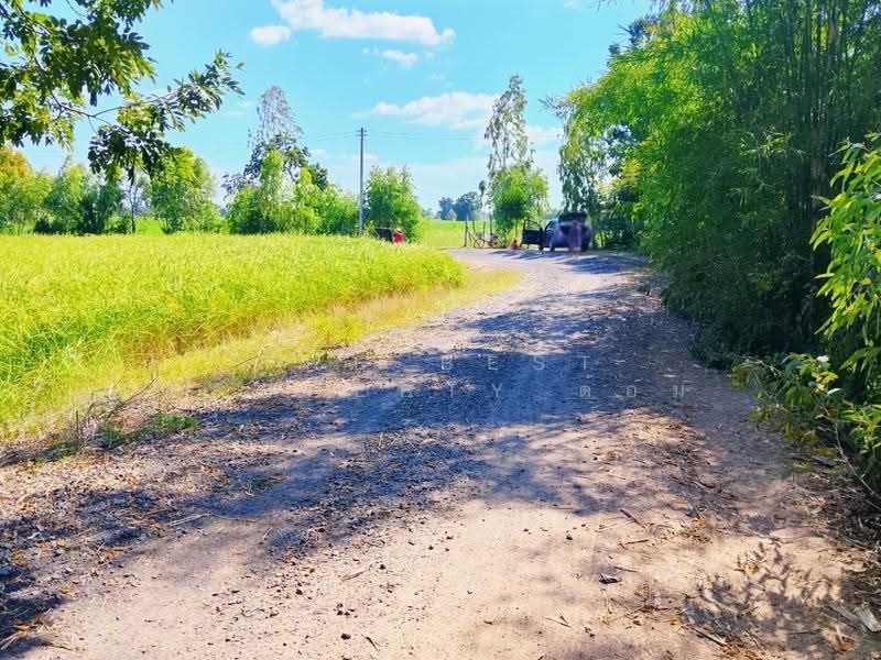 ที่ดินศีขรภูมิ สุรินทร์, สุรินทร์, หนองเหล็ก, ศีขรภูมิ, สุรินทร์, 21,288 ตร.ม., ที่ดิน ขาย, โดย The Best Property ต้อม, 500633660 - DDproperty.com
