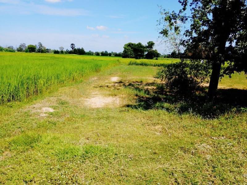 ที่ดินศีขรภูมิ สุรินทร์, Surin, Nong Lek, Si Khonlaphum, Surin, , 21,288 sqm, Land For Sale, by The Best Property ต้อม, 500633660 - DDproperty.com