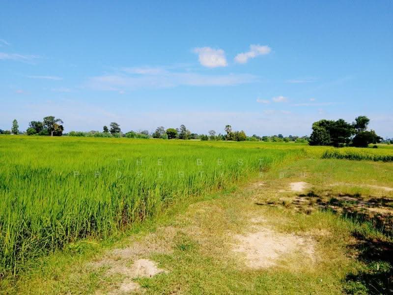 ที่ดินศีขรภูมิ สุรินทร์, Surin, Nong Lek, Si Khonlaphum, Surin, , 21,288 sqm, Land For Sale, by The Best Property ต้อม, 500633660 - DDproperty.com