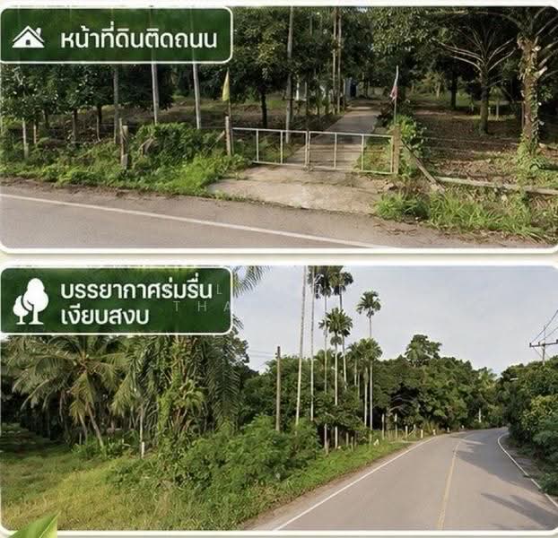 ขายสวนมังคุดพร้อมบ้านพัก ต.บางนําจืด อ.หลังสวน จ.ชุมพร, ชุมพร, บางน้ำจืด, หลังสวน, ชุมพร, 2,984 ตร.ม., ที่ดิน ขาย, โดย Kulapeeda Thathong, 500633736 - DDproperty.com