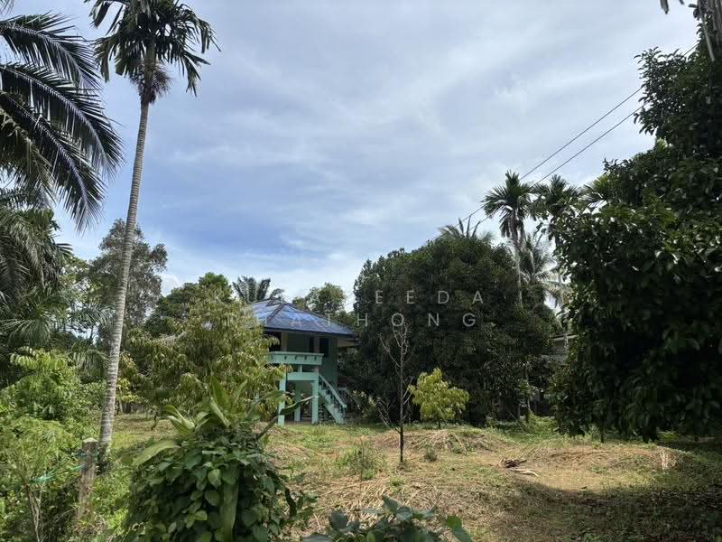 Mangosteen Orchard with House for Sale in Bang Nam Chuet, Lang Suan, Chumphon, Thailand, Chumphon, Bang Nam Chut, Lang Suan, Chumphon, , 2,984 sqm, Land For Sale, by Kulapeeda Thathong, 500633736 - DDproperty.com