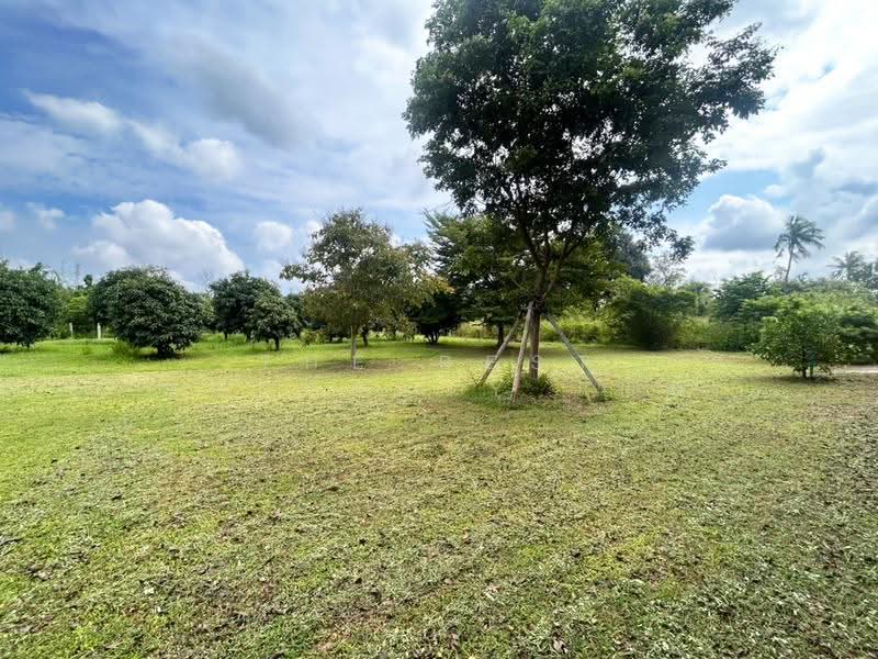 บ้านเดี่ยวบ้านสวน ชลบุรี, Chon Buri (Pattaya), Ban Suan, Muang Chon Buri, Chon Buri (Pattaya), 1 Bedroom, 100 sqm, Single Detached House For Sale, by The Best Property แอน, 500633823 - DDproperty.com
