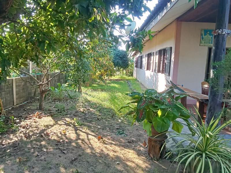 บ้านเดี่ยวศรีราชา ชลบุรี, Chon Buri (Pattaya), Nong - Kham, Si Racha, Chon Buri (Pattaya), 2 Bedrooms, 100 sqm, Single Detached House For Sale, by The Best Property แอน, 500633828 - DDproperty.com