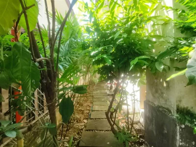 Atoll Lanta Resort Life Bangna – Wongwaen, Samut Prakan, Soi 1 Kanchanaphisek 53, Bangphli Yai, Bang Plee, Samut Prakan, 4 Bedrooms, 159 sqm, Single Detached House For Sale, by คุณ ภาดา ตินตกร (แป๋ม), 500633853 - DDproperty.com
