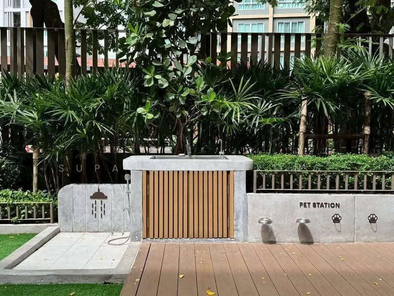 Mekin HAUS, Chiang Mai, Fa Ham, Muang Chiang Mai, Chiang Mai, 1 Bedroom, 45 sqm, Condo For Rent, by ศุภรัศมิ์ มั่นคง, 500633881 - DDproperty.com