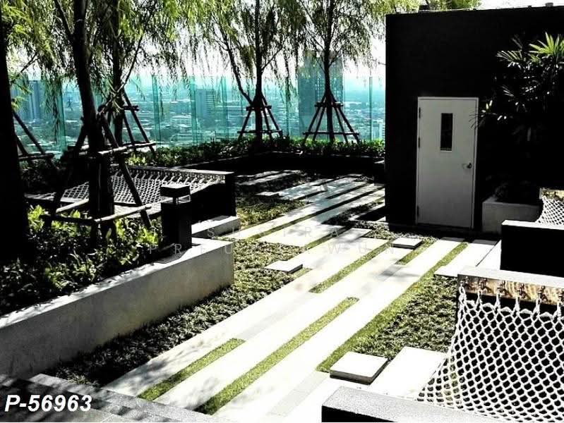 Rhythm Sukhumvit 36-38, Bangkok, 55 Soi Sukhumvit 36, Sukhumvit Road, Phra Kanong, Khlong Toei, Bangkok, 1 Bedroom, 50 sqm, Condo For Rent, by Susira Preuksawun, 500633889 - DDproperty.com