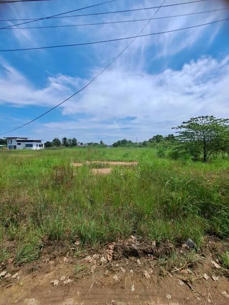 Land for Sale in Phanat Nikhom, Chon Buri Province, Chon Buri (Pattaya), Nong Pru, Phanat Nikhom, Chon Buri (Pattaya), , 3,252 sqm, Land For Sale, by ศิริภัสสร โชติประยูรศักดิ์, 500634019 - DDproperty.com