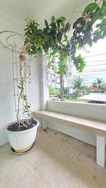บ้านเดี่ยวประเวศ กรุงเทพมหานคร, กรุงเทพ, ประเวศ, กรุงเทพ, 100 ตร.ม., บ้านเดี่ยว ขาย, โดย The Best Property เหมยหลิง, 500634206 - DDproperty.com