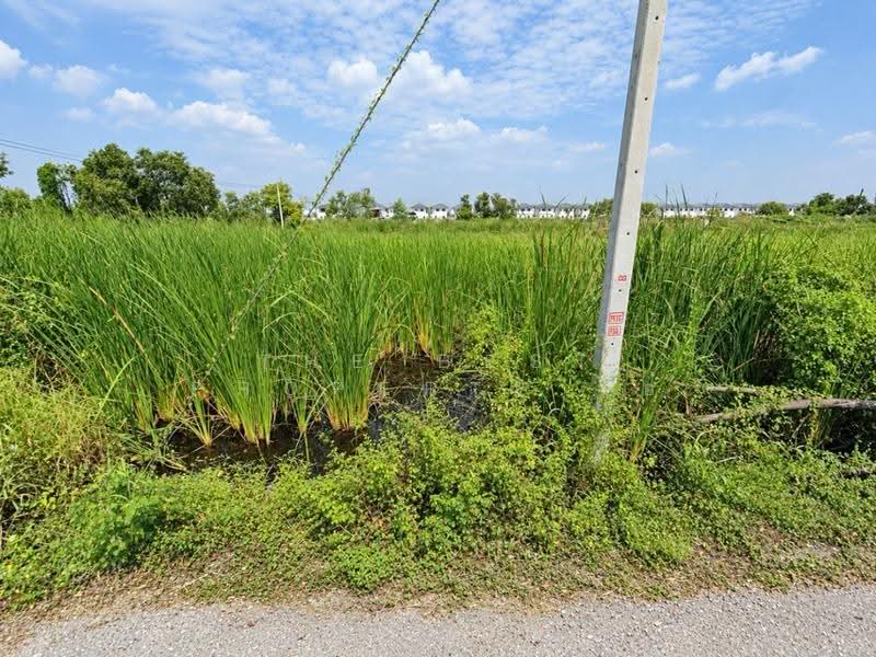 ที่ดินคลองหลวง ปทุมธานี, Pathum Thani, Khlong Song, Khlong Luang, Pathum Thani, , 1,032 sqm, Land For Sale, by The Best Property โอ๋, 500634222 - DDproperty.com