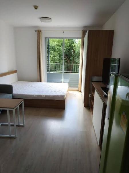 Elio Sukhumvit 64 : เอลลิโอ สุขุมวิท 64, Bangkok, 99 ซอยสุขุมวิท 64, Bang Chak, Phra Khanong, Bangkok, Studio, 22 sqm, Condo For Rent, by Agentbkk, 500634514 - DDproperty.com