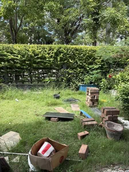 Pleno Rama 9 – Krungthep Kreetha 2, Bangkok, Soi Kanchanaphisek 25 Yeak 1, Saphan Sung, Bangkok, 3 Bedrooms, 91 sqm, Townhouse For Sale, by Thanest Kongsuk, 500634516 - DDproperty.com