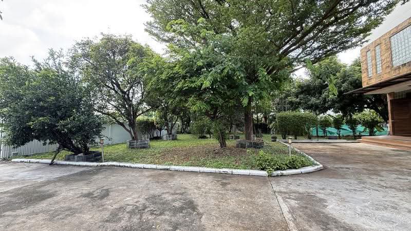 Pet-Friendly 2-Story House in Nak Nivas, Bangkok, Lat Phrao, Bangkok, 2 Bedrooms, 450 sqm, Single Detached House For Rent, by คุณ น๊อก, 500634534 - DDproperty.com