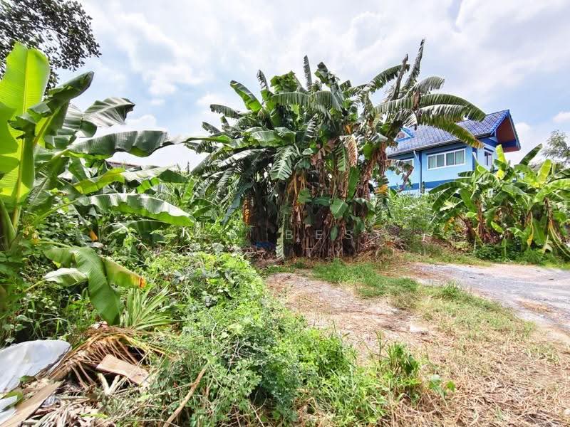 ที่ดินทุ่งครุ กรุงเทพมหานคร, กรุงเทพ, บางมด, ทุ่งครุ, กรุงเทพ, 384 ตร.ม., ที่ดิน ขาย, โดย The Best Property โบ, 500634592 - DDproperty.com