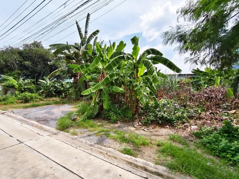 ที่ดินทุ่งครุ กรุงเทพมหานคร, กรุงเทพ, บางมด, ทุ่งครุ, กรุงเทพ, 384 ตร.ม., ที่ดิน ขาย, โดย The Best Property โบ, 500634592 - DDproperty.com