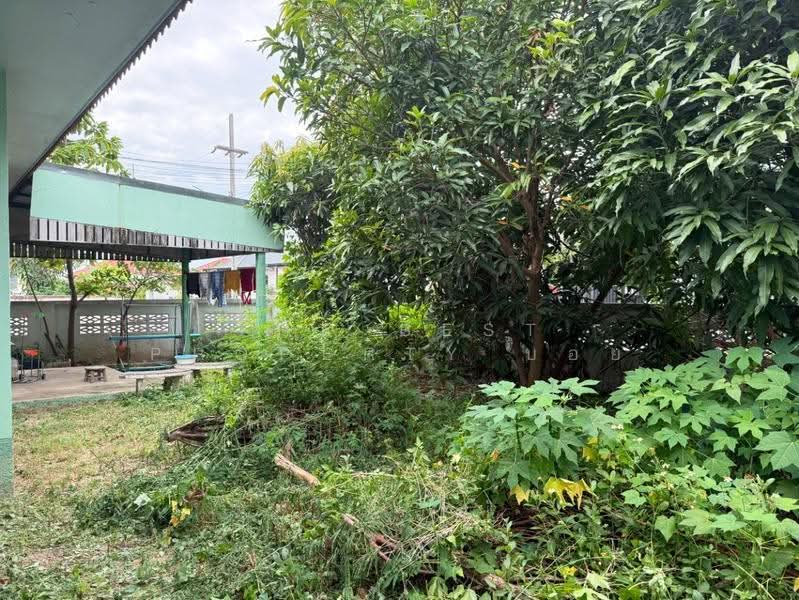 พัทธนันท์ สันกำแพง, Chiang Mai, Buak Sang, San Kamphaeng, Chiang Mai, 2 Bedrooms, 180 sqm, Single Detached House For Sale, by The Best Property บอย, 500634895 - DDproperty.com