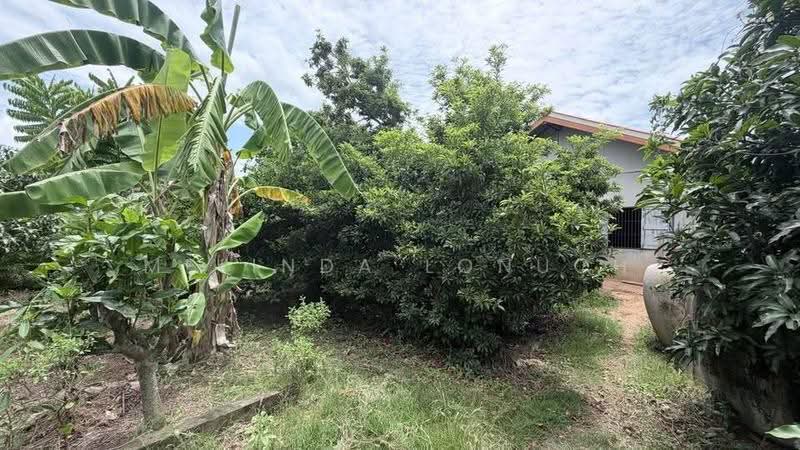 1-BR House, Chon Buri (Pattaya), Na Wang Hin, Phanat Nikhom, Chon Buri (Pattaya), 1 Bedroom, 47 sqm, Single Detached House For Sale, by Melinda Lonuch, 500635135 - DDproperty.com