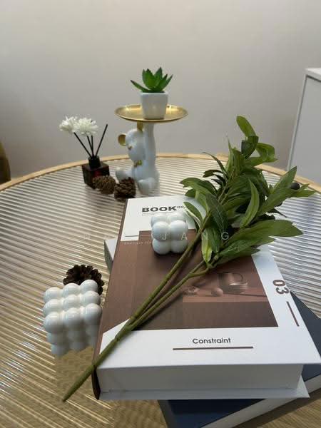 Casa Condo Ratchada-Thapra, Bangkok, 15 Ratchadaphisek, Dao Khanong, Thon Buri, Bangkok, 1 Bedroom, 35 sqm, Condo For Rent, by nam jang, 500635734 - DDproperty.com
