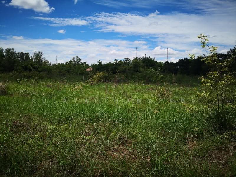 Large Vacant Land, Non Sung, Mueang Udon Thani, Udon Thani, ถนนมิตรภาพ อุดรธานี-ขอนแก่น (เข้าซอยเพียง 950 ม.), Non Sung, Muang Udon Thani, Udon Thani, , 20,219 sqm, Land For Sale, by Kulaya Thanapura, 500636117 - DDproperty.com