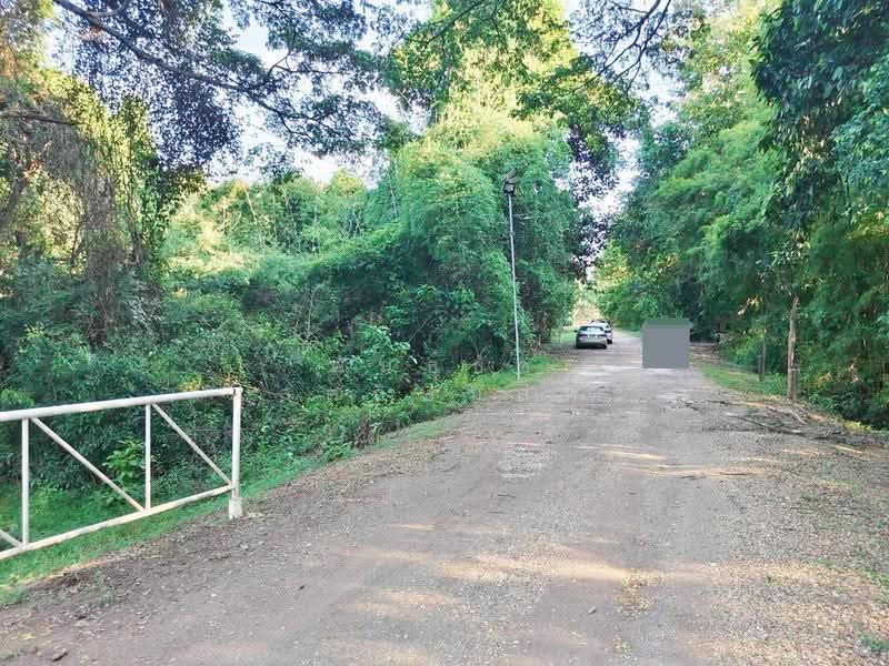 ที่ดิน ติดทางเข้า ธารจินดารีสอร์ท ถนนชยางกูร อำเภอเมืองมุกดาหาร, Mukdahan, ชยางกูร, Bang Sai Yai, Muang Muddahan, Mukdahan, , 9,744 sqm, Land For Sale, by PhanThach Sotthipimonporn, 500636191 - DDproperty.com