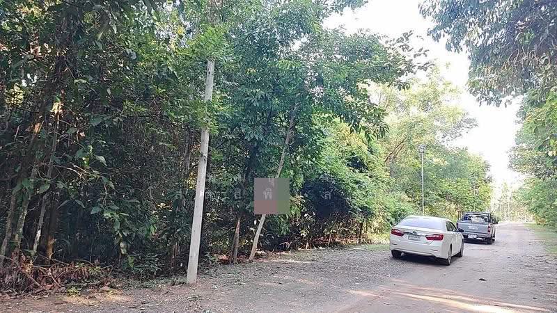 ที่ดิน ติดทางเข้า ธารจินดารีสอร์ท ถนนชยางกูร อำเภอเมืองมุกดาหาร, Mukdahan, ชยางกูร, Bang Sai Yai, Muang Muddahan, Mukdahan, , 9,744 sqm, Land For Sale, by PhanThach Sotthipimonporn, 500636191 - DDproperty.com