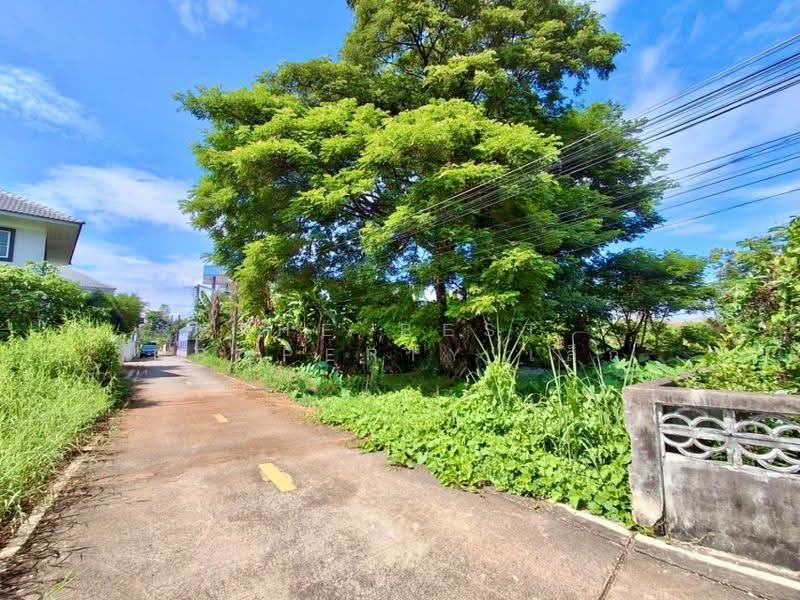 ที่ดินท่าอิฐ อุตรดิตถ์, อุตรดิตถ์, ท่าอิฐ, เมืองอุตรดิตถ์, อุตรดิตถ์, 696 ตร.ม., ที่ดิน ขาย, โดย The Best Property เล็ก, 500636358 - DDproperty.com