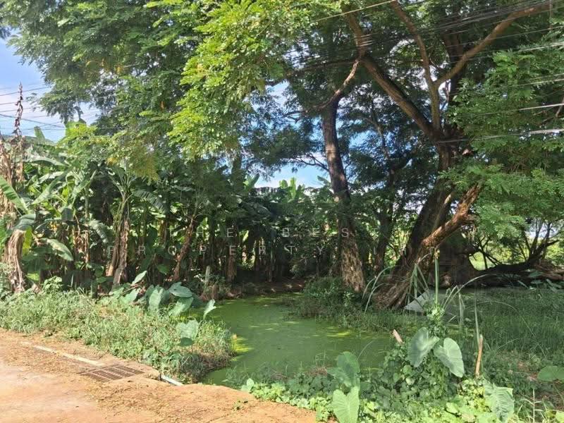 ที่ดินท่าอิฐ อุตรดิตถ์, Uttaradit, Tha It, Muang Uttaradit, Uttaradit, , 696 sqm, Land For Sale, by The Best Property เล็ก, 500636358 - DDproperty.com