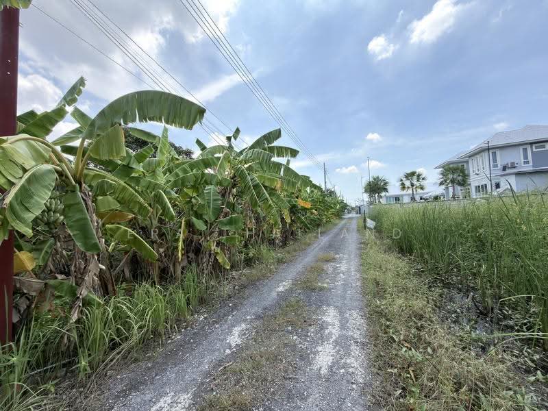 ขายที่ดินแปลงสวย 300 ตร.ว. ซอยกำนันเล็ก 2 (เพชรเกษม 69 หนองแขม), กรุงเทพ, หนองแขม, กรุงเทพ, 1,200 ตร.ม., ที่ดิน ขาย, โดย ERA Thailand, 500636445 - DDproperty.com